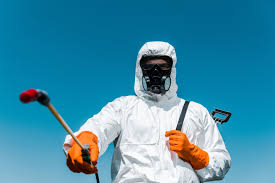 Real Estate Pest Inspections in Ridgewood, NJ